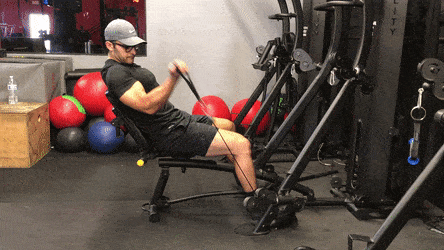 how to lose arm fat using seated cable curls